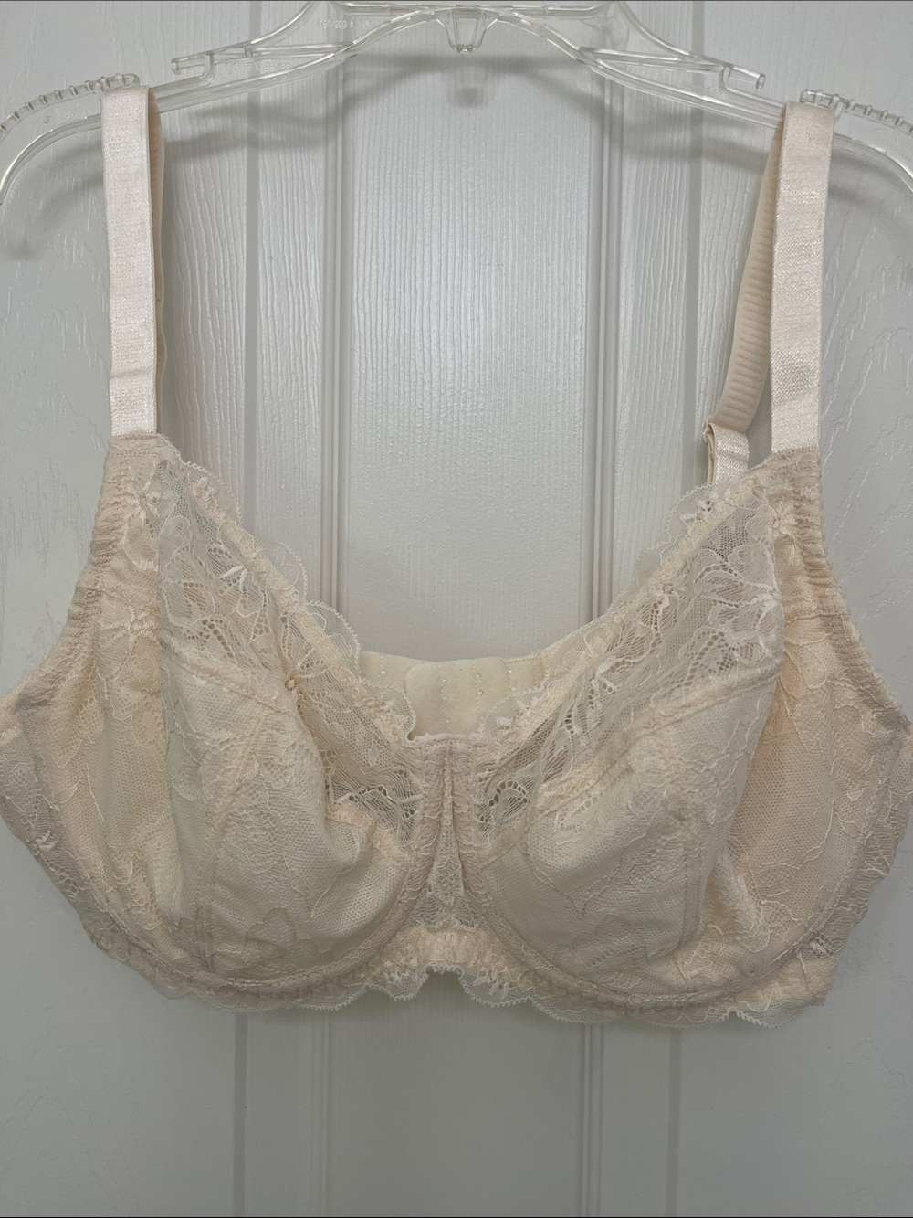 Avid Love Sheer Lace Underwire Bra in Soft Cream